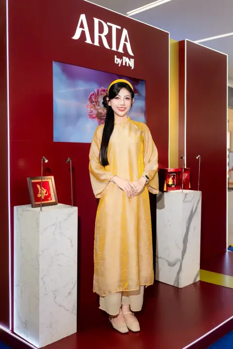 PNJ — Ca sĩ Anh Tú — ảnh 1/14